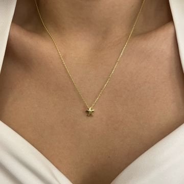 925 Ayar Gümüş Kolye Deniz Yıldızım