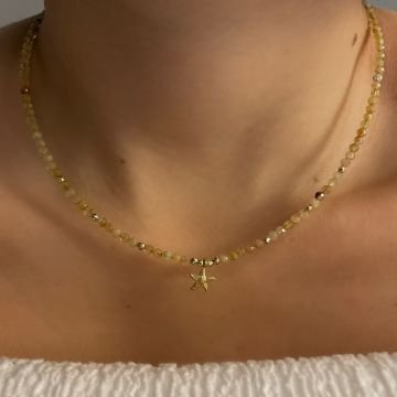 925 Ayar Gümüş Sitrin Taşlı Deniz Yıldızı Kolye Starfish